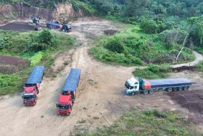 Antara treler yang dirampas dalam operasi Op Bersepadu Khazanah di Mukim Kuala Nal, Batu Mengkebang di Kuala Krai pada Selasa. - Foto: PGA