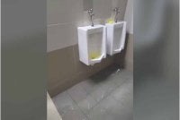 Hasil siasatan mendapati lokasi tandas yang dimuat naik dalam hantaran video tersebut tidak berada dalam fasiliti seliaan HKL. Foto tangkap layar video tular