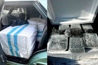 Cubaan menyeludup sebanyak 24,000 biji benih kelapa sawit bernilai RM100,000 ke Thailand melalui pangkalan haram di Kampung Lubok Gong, Rantau Panjang berjaya dipatahkan PGA pada Sabtu. Foto: PGA