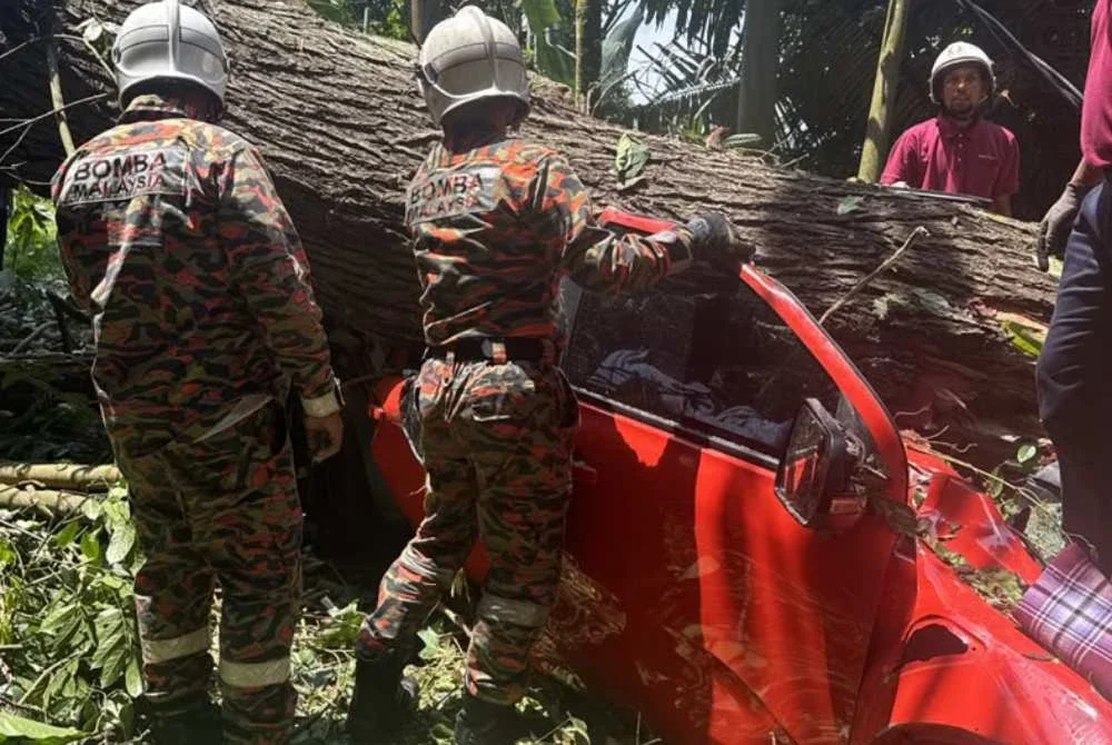 Anggota bomba berusaha mengeluarkan mangsa yang tersepit.