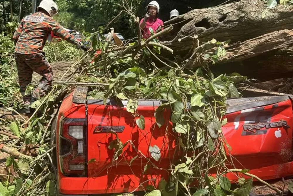 Keadaan kenderaan yang dihempap pokok tumbang di Jalan Bentong Lama.
