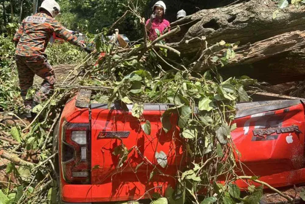 Keadaan kenderaan yang dihempap pokok tumbang di Jalan Bentong Lama.