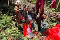 Empat maut selepas kenderaan pacuan empat roda dihempap pokok tumbang di Jalan Janda Baik, Bentong.
