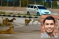 Gambar kecil: Profesor Madya Dr Azlan Abas