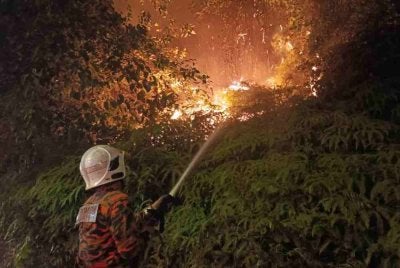 Anggota bomba sedang memadamkan kebakaran hutan di Sepang pada Isnin.