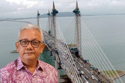 Komposisi warganegara Pulau Pinang terdiri daripada kira-kira 46.2 peratus Bumiputera, 43.7 peratus kaum Cina dan 9.5 peratus kaum India