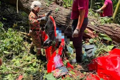 Empat maut selepas kenderaan pacuan empat roda dihempap pokok tumbang di Jalan Janda Baik, Bentong.