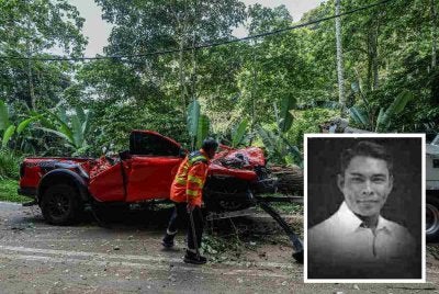 Keadaan kenderaan pacuan empat roda yang dihempap sebatang pokok di Jalan Lama Kuala Lumpur menuju ke Pintu Gerbang Janda Baik, Bentong, tengah hari Isnin. Foto Bernama (Gambar kecil: Mohd Radzi)