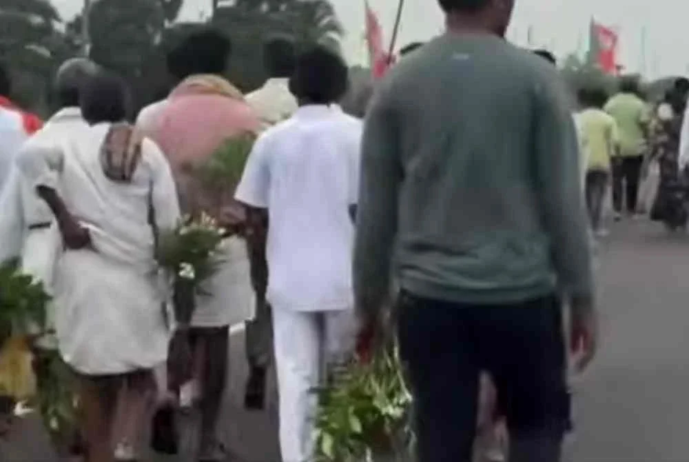 Rakaman video kejadian yang tular menunjukkan sejumlah besar individu mencabut dan membawa keluar pokok-pokok hiasan dari kawasan lapangan terbang.
