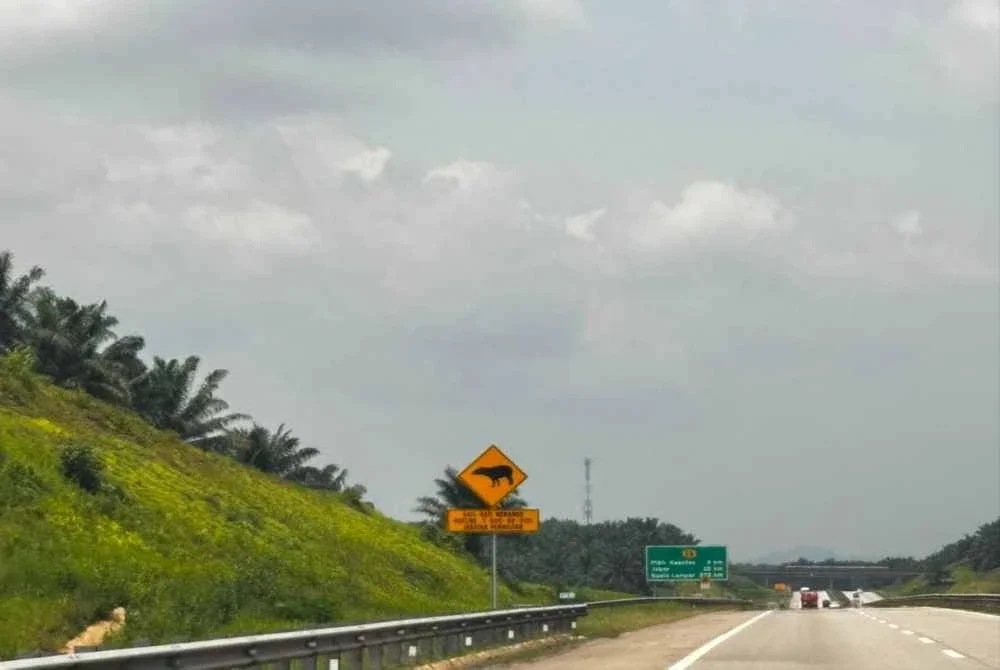 KM272.1 di LPT2
