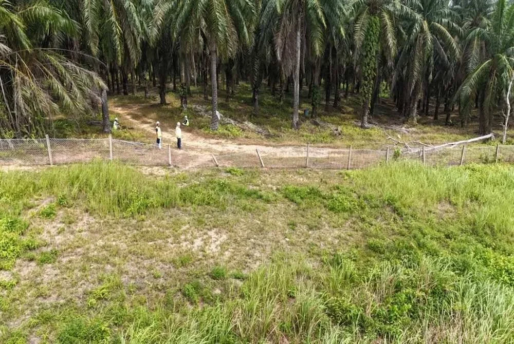 Bahagian pagar yang telah dirobohkan, dipercayai akibat rempuhan kawanan gajah