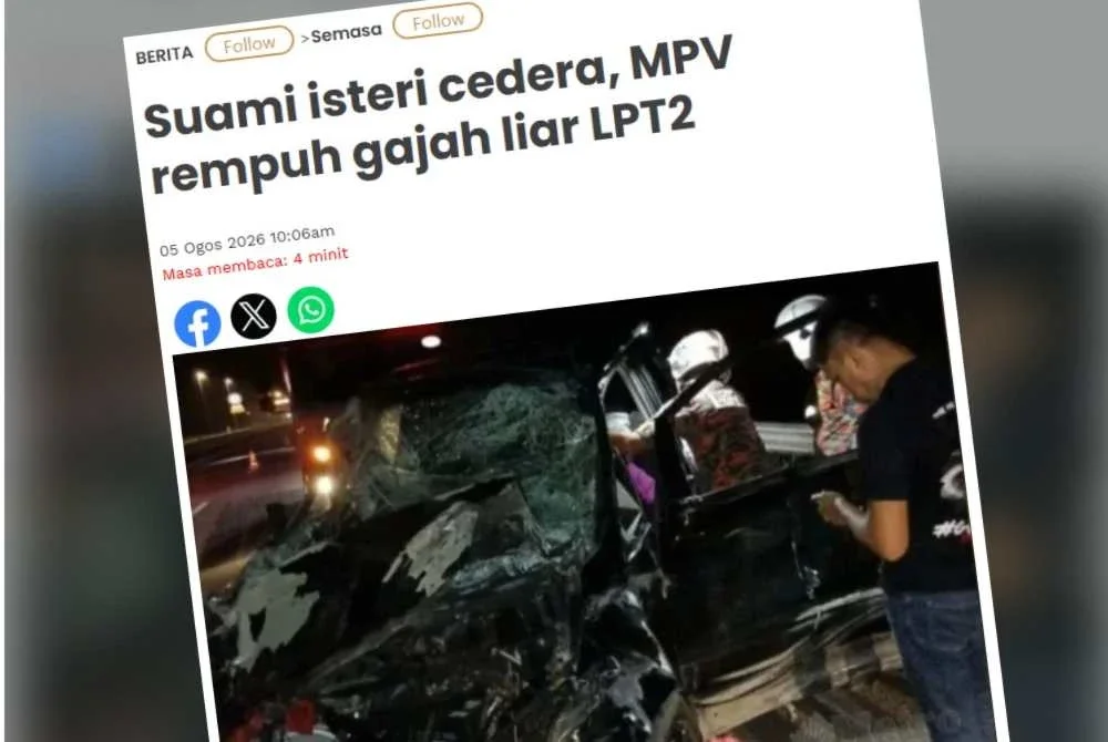 Sinar Harian sebelum ini melaporkan sepasang suami isteri cedera selepas MPV yang dinaiki mereka merempuh sekumpulan gajah liar di lokasi berkenaan pada 10.20 malam.