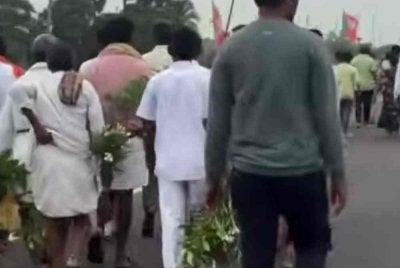 Rakaman video kejadian yang tular menunjukkan sejumlah besar individu mencabut dan membawa keluar pokok-pokok hiasan dari kawasan lapangan terbang.