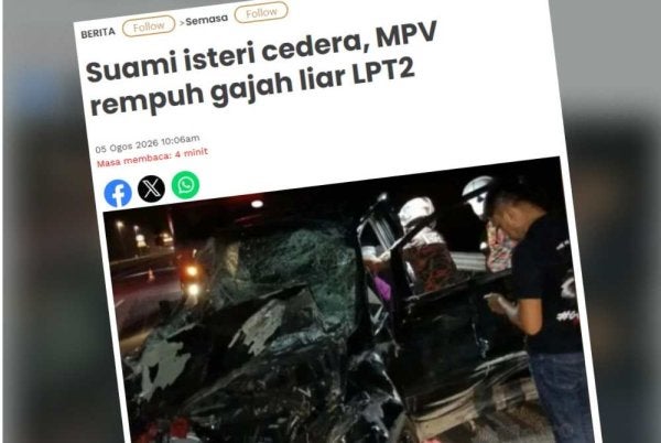 Sinar Harian sebelum ini melaporkan sepasang suami isteri cedera selepas MPV yang dinaiki mereka merempuh sekumpulan gajah liar di lokasi berkenaan pada 10.20 malam.