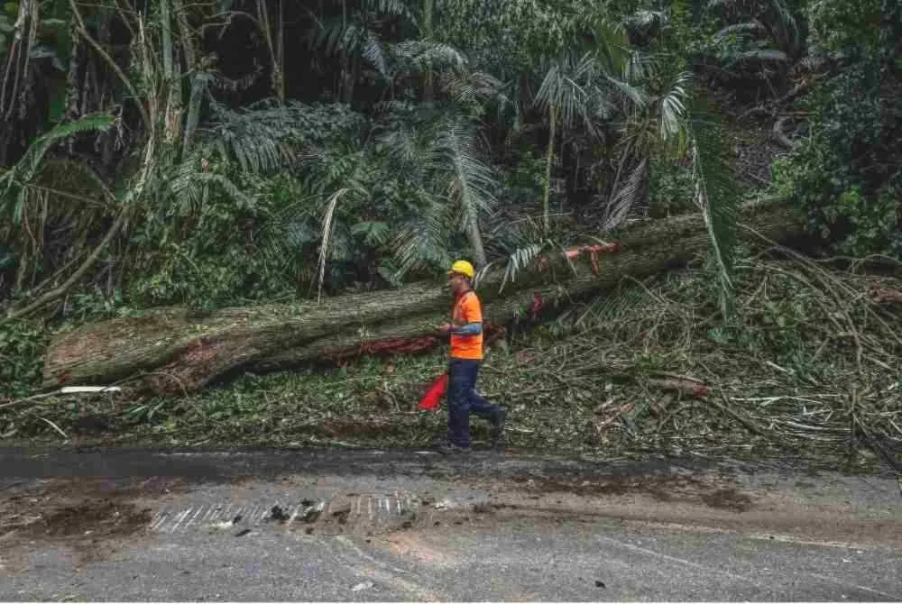 Sebatang pokok tumbang menghempap kenderaan pacuan empat roda di Jalan Lama Kuala Lumpur menuju ke Pintu Gerbang Janda Baik, Bentong, pada Selasa, mengorbankan empat individu. Foto Bernama