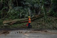 Sebatang pokok tumbang menghempap kenderaan pacuan empat roda di Jalan Lama Kuala Lumpur menuju ke Pintu Gerbang Janda Baik, Bentong, pada Selasa, mengorbankan empat individu. Foto Bernama