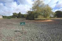 Papan tanda 'Dilarang memancing' kelihatan di kawasan Falmer Pond yang kering kontang di Falmer, East Sussex, selatan London pada 5 Ogos 2026. England dan Wales merekodkan Julai paling kering dalam sejarah, menurut Agensi Meteorologi United Kingdom berdasarkan data sementara yang dikeluarkan pada 5 Ogos. Foto AFP