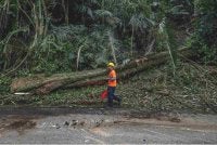Sebatang pokok tumbang menghempap kenderaan pacuan empat roda di Jalan Lama Kuala Lumpur menuju ke Pintu Gerbang Janda Baik, Bentong, pada Selasa, mengorbankan empat individu. Foto Bernama