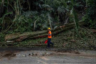 Sebatang pokok tumbang menghempap kenderaan pacuan empat roda di Jalan Lama Kuala Lumpur menuju ke Pintu Gerbang Janda Baik, Bentong, pada Selasa, mengorbankan empat individu. Foto Bernama