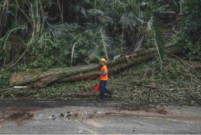 Sebatang pokok tumbang menghempap kenderaan pacuan empat roda di Jalan Lama Kuala Lumpur menuju ke Pintu Gerbang Janda Baik, Bentong, pada Selasa, mengorbankan empat individu. Foto Bernama
