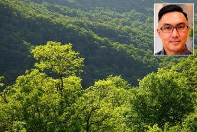 Daniel Khoo (gambar kecil) berkata, hukuman lebih berat wajar dipertimbangkan bagi membanteras sindiket pencerobohan tanah yang semakin berleluas. Foto hiasan