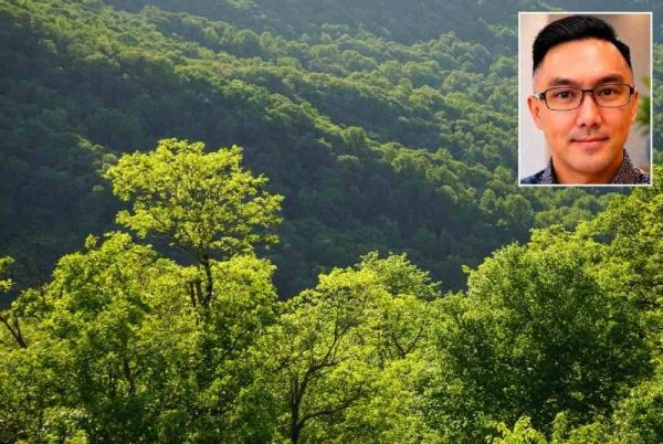 Daniel Khoo (gambar kecil) berkata, hukuman lebih berat wajar dipertimbangkan bagi membanteras sindiket pencerobohan tanah yang semakin berleluas. Foto hiasan