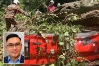 Daniel (gambar kecil) mencadangkan kerajaan mewujudkan zon bebas pokok sehingga dua kilometer di kiri dan kanan jalan bagi mengelakkan kejadian pokok tumbang meragut nyawa pengguna jalan raya berulang.