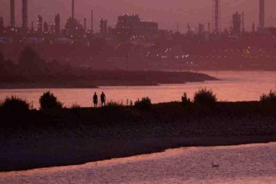 Bom perang dunia kedua seberat 500 kilogram buatan Amerika Syarikat (AS) itu ditemukan pada Rabu malam berhampiran Rheinpark di Cologne. Foto Reuters. 