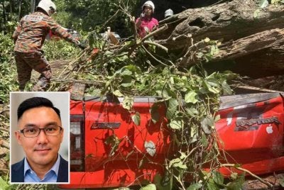 Daniel (gambar kecil) mencadangkan kerajaan mewujudkan zon bebas pokok sehingga dua kilometer di kiri dan kanan jalan bagi mengelakkan kejadian pokok tumbang meragut nyawa pengguna jalan raya berulang.