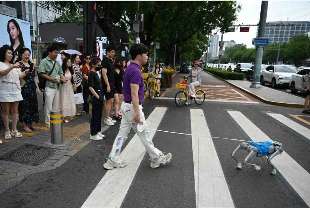 Seorang lelaki menjadi tumpuan apabila membawa anjing robot bersiar-siar di sekitar Beijing. Foto: AFP