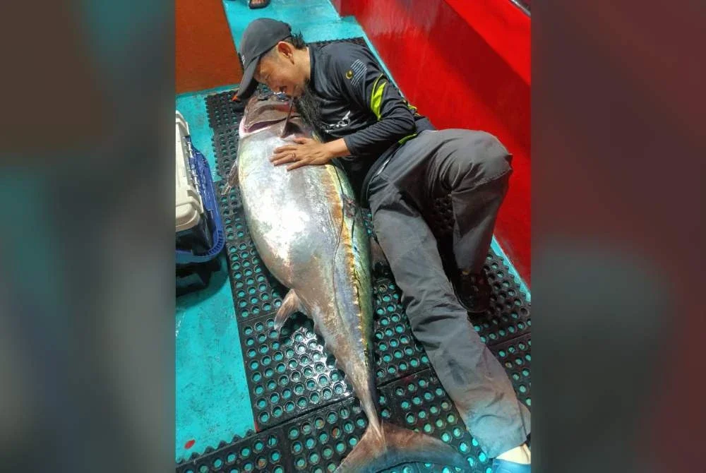 Faizal bersama 'dogtooth tuna' dengan anggaran berat 50 hingga 60 kilogram yang ditangkap di perairan Aceh, Indonesia.