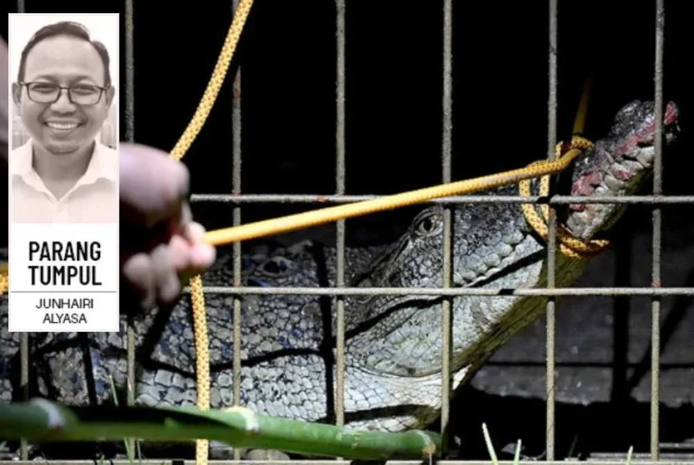 Nasib buaya tidak sama seperti anjing kerana jarang kita dengar ada mana-mana pihak yang memperjuangkan spesies tersebut. Foto: hiasan