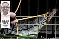 Nasib buaya tidak sama seperti anjing kerana jarang kita dengar ada mana-mana pihak yang memperjuangkan spesies tersebut. Foto: hiasan