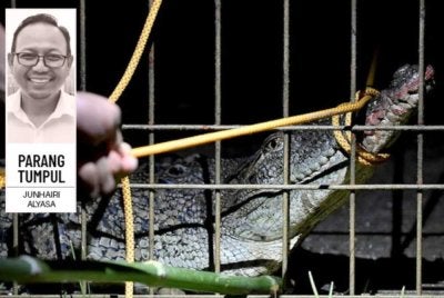 Nasib buaya tidak sama seperti anjing kerana jarang kita dengar ada mana-mana pihak yang memperjuangkan spesies tersebut. Foto: hiasan