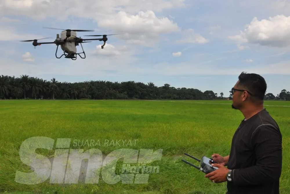 Tinjauan di sekitar kawasan Bota, Titi Gantung dan Lambor mendapati bekalan air sudah mula memasuki petak sawah, namun masih belum mencukupi sepenuhnya terutama di kawasan hujung blok.