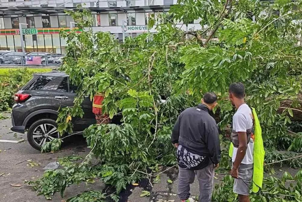 Sepasang suami isteri warga emas dan cucu mereka cedera selepas kereta yang dinaiki dihempap pokok tumbang dalam kejadian di Jalan Macalister pada Ahad. Foto Facebook Lim Hui Ying