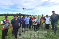 Isu bekalan air yang kian pulih sedikit sebanyak melegakan pesawah yang sebelum ini hampir berputus asa selepas kehilangan satu musim akibat kekurangan air.