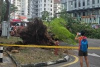 Kereta yang dinaiki mangsa dihempap pokok tumbang dalam kejadian di Jalan Macalister pada Ahad. Foto Facebook Lim Hui Ying