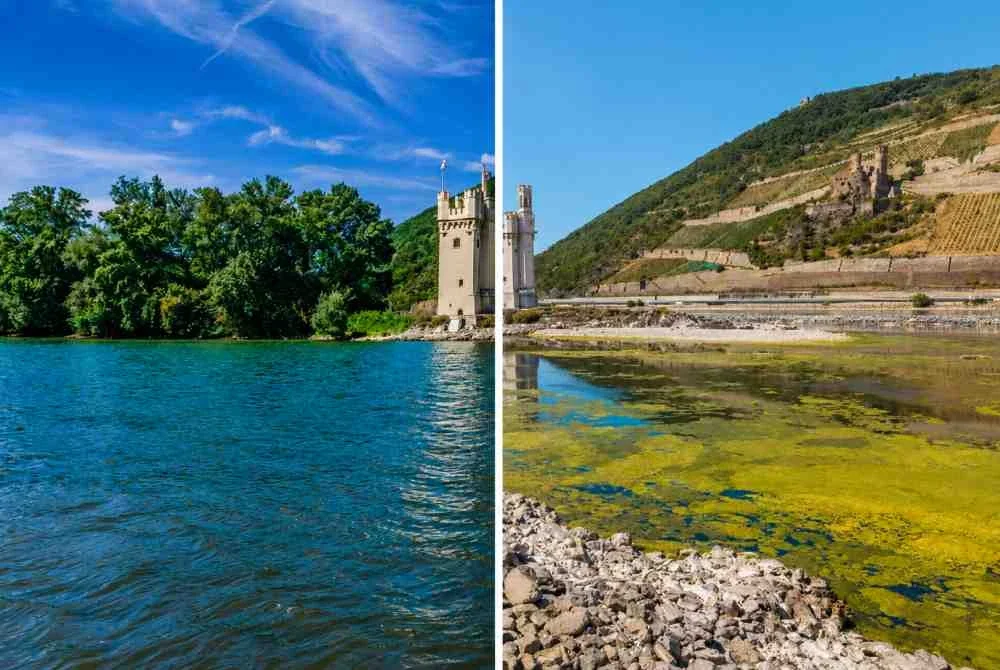 Paras air Sungai Rhine yang semakin surut menyebabkan kawasan sekitar Menara Mouse di Bingen, Jerman, kelihatan lebih cetek
