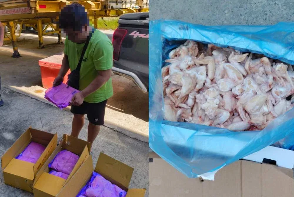 Kontena yang disita mengandungi ayam sejuk beku dipercayai dibawa masuk dari China ke Sabah.