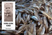 Pada 2024, Malaysia merekodkan pendaratan 14,589 tan metrik ikan bilis bernilai RM164.89 juta. Foto fail Bernama. 