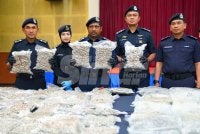 Hussein (tengah) menunjukkan bunga ganja yang dirampas. FOTO: MOHD HALIM ABDUL WAHID