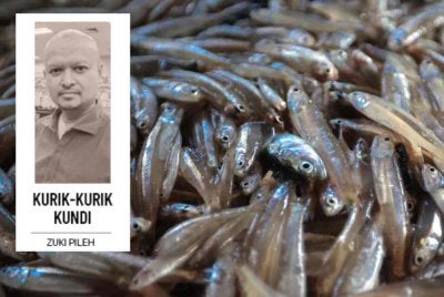 Pada 2024, Malaysia merekodkan pendaratan 14,589 tan metrik ikan bilis bernilai RM164.89 juta. Foto fail Bernama. 