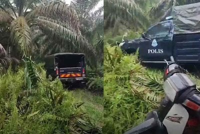 Gambar tular anggota polis melaksanakan siasatan di lokasi kejadian bunuh di kebun kelapa sawit di Banting pada Ahad.