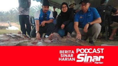 No Image Caption