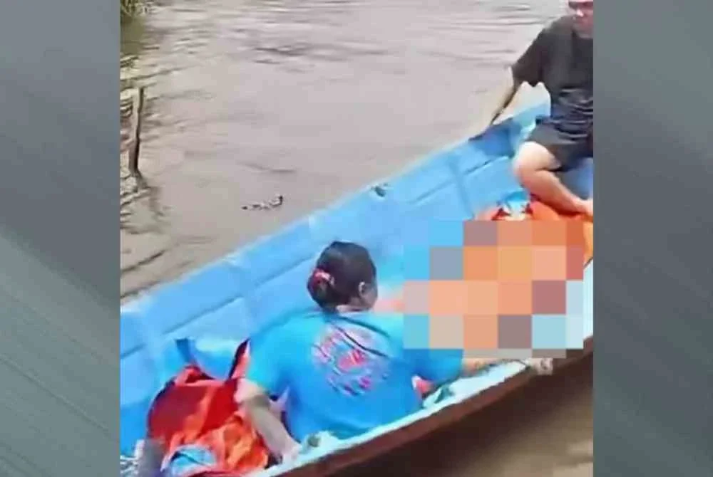 Anak mangsa menyaksikan sendiri buaya berkenaan tiba-tiba menyambar ibunya dan mengheret mangsa kira-kira 10 meter dari perahu.