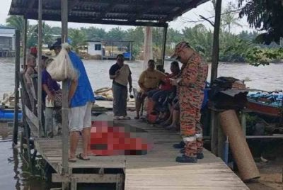 Seorang wanita warga emas berusia 78 tahun maut selepas disambar dan diheret buaya ketika mencari siput bersama anak perempuannya.