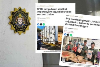 SPRM menahan 7 individu termasuk 4 penjawat awam kerana disyaki terbabit sindiket import ayam sejuk beku tidak sah di Sabah 