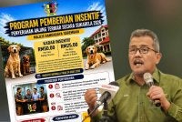 Program pemberian insentif penyerahan anjing terbiar secara sukarela. 