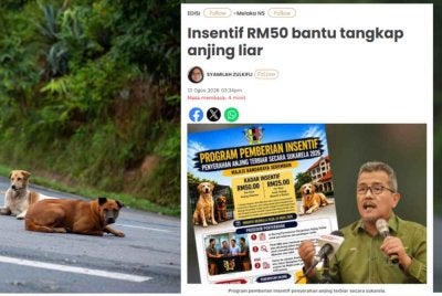 Laporan Sinar Harian pada 14 Ogos 2026.
